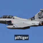 Plftiger: Applications, Technology, and Future Potential 2025 21 Plftiger: Applications, Technology, and Future Potential 2025