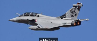 Plftiger: Applications, Technology, and Future Potential 2025