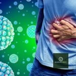 Norovirus