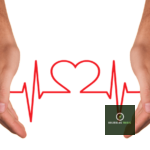 Unlocking the Power of Holistic Health Coaching: What It Is & How It Transforms Lives 20 What is a Holistic Health Coach & What Can They Do?