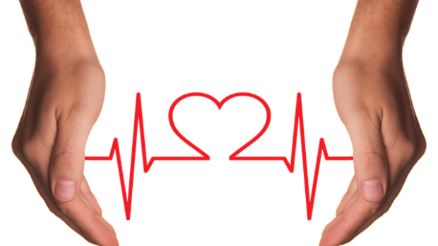 What is a Holistic Health Coach & What Can They Do?