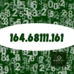 164.68111.161: Таинственное число и почему это важно
