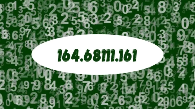 164.68111.161: The Mysterious Number and Why It Matters