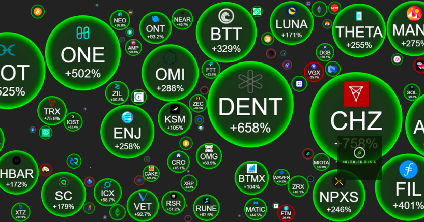 Crypto Bubbles: The Truth Behind Market Booms and Busts