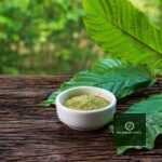 Here's What To Check Before Buying Bulk Kratom Capsules Online