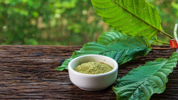 Here's What To Check Before Buying Bulk Kratom Capsules Online