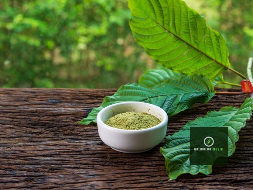 Here's What To Check Before Buying Bulk Kratom Capsules Online