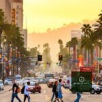 How Can Musicians In Los Angeles Look For The Best Herbal Stores? 20 Los Angeles