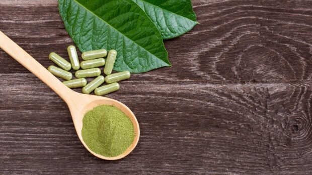 Want A Hassle-Free Kratom Powder Purchase? Trust Right Vendors Only