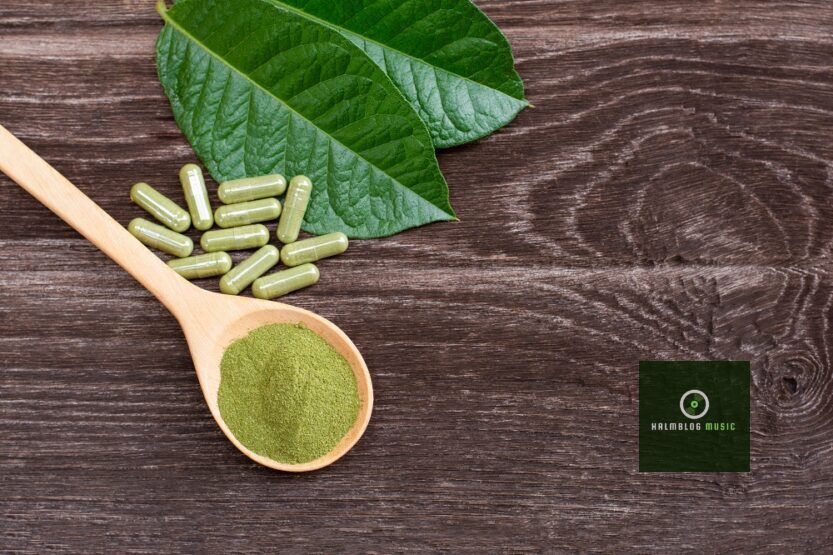 Want A Hassle-Free Kratom Powder Purchase? Trust Right Vendors Only