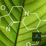 Why Should You Buy 7 OHM Tablets Near Your Area This Summer? 24 Why Should You Buy 7 OHM Tablets Near Your Area This Summer?