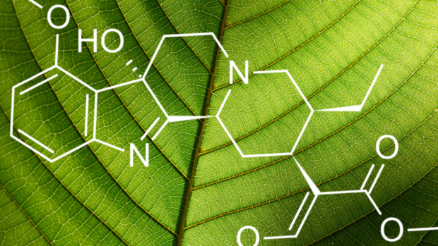 Why Should You Buy 7 OHM Tablets Near Your Area This Summer?