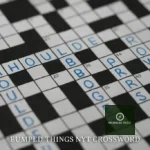 Bumped Things NYT Crossword: Everything You Need to Know