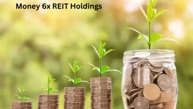 Money 6x REIT Holdings