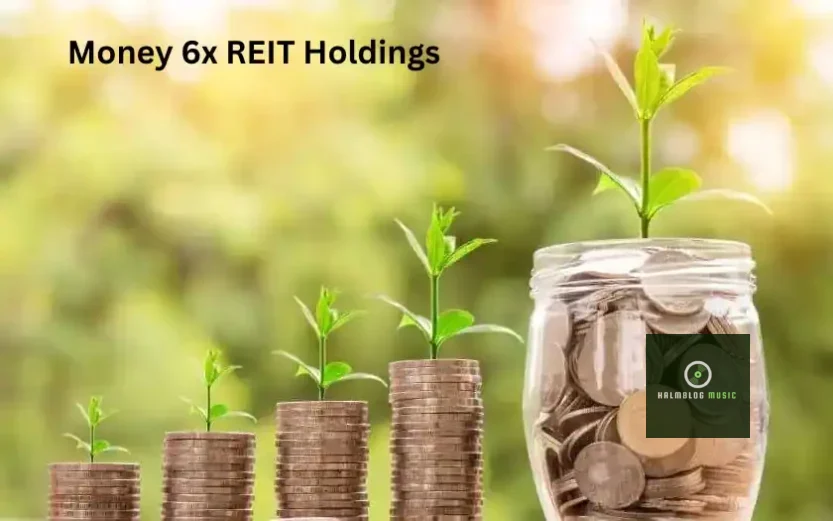 Money 6x REIT Holdings