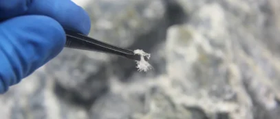 Asbestlint: What You Should Know Today