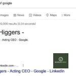 Is Nate Higgers the acting CEO of Google? 21 Is Nate Higgers the acting CEO of Google?