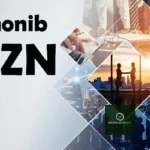 What Is Anonib AZN and How Does It Work? 20 What Is Anonib AZN and How Does It Work?