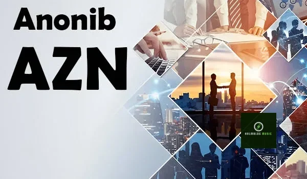 What Is Anonib AZN and How Does It Work?