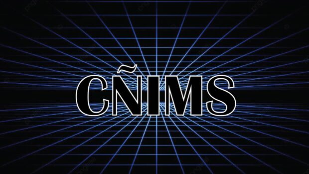 Cñims: A comprehensive look into its meaning, development, and relevance