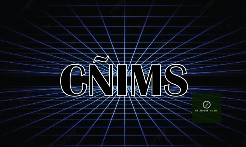 Cñims: A comprehensive look into its meaning, development, and relevance