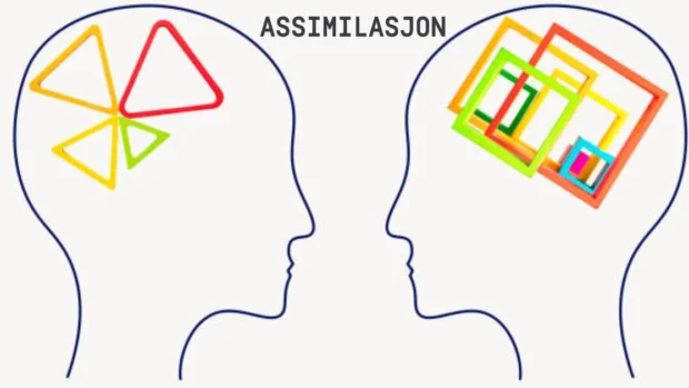 Assimilasjon: Understanding Its Role in Society 2025