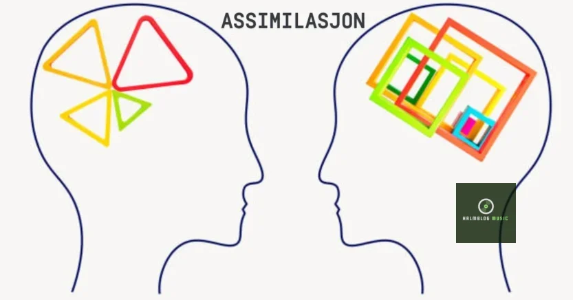 Assimilasjon: Understanding Its Role in Society 2025