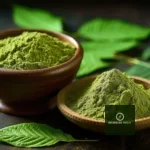 Here's Why Musicians Prefer Buying Wholesale Kratom This Season 21 Here's Why Musicians Prefer Buying Wholesale Kratom This Season
