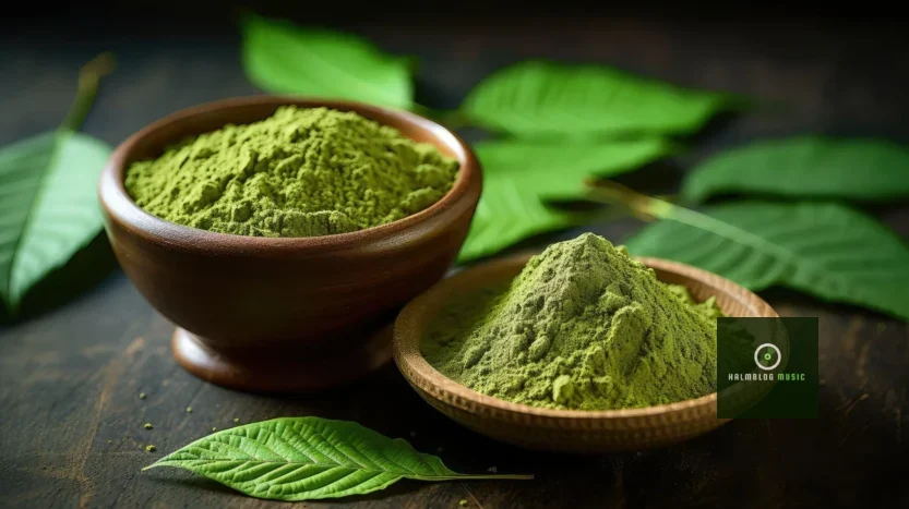 Here's Why Musicians Prefer Buying Wholesale Kratom This Season