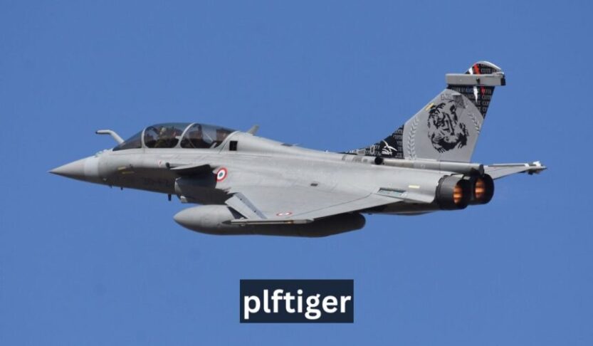 Plftiger: Applications, Technology, and Future Potential 2025