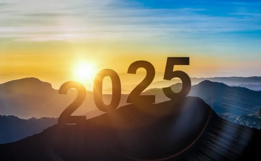 Poieno in 2025: Trends, Insights, and Outlook